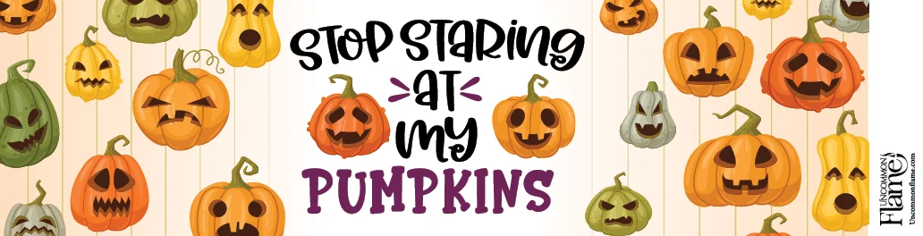 Stop Staring at My Pumpkins flat
