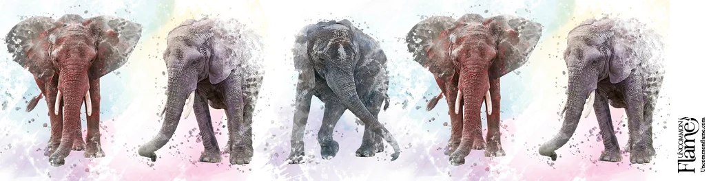 Elephants design