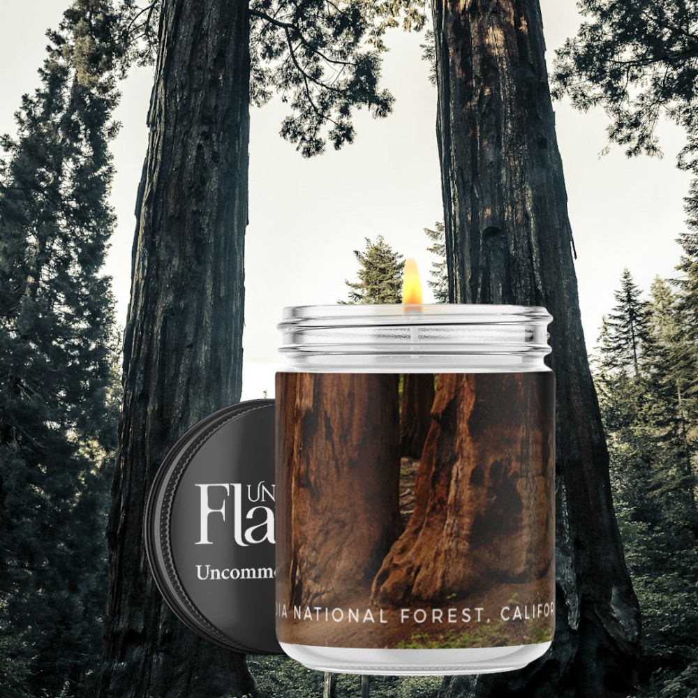 sequoia national park