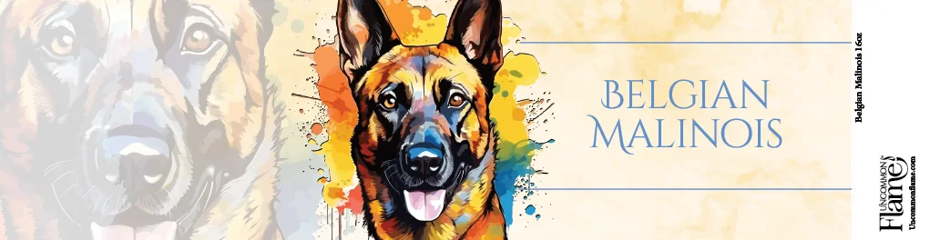 Belgian Malinois flat label