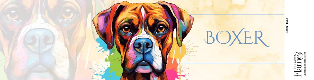 Boxer flat design