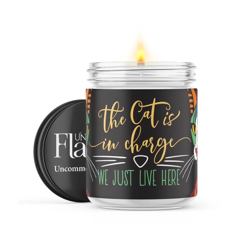 The Cat Is In Charge design