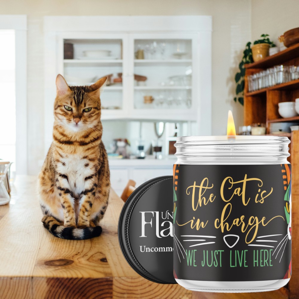 cats are in charge candle