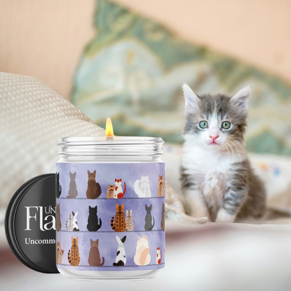 sitting kittens candle
