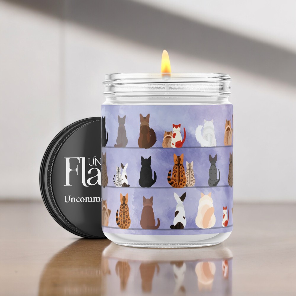 sitting kittens candle