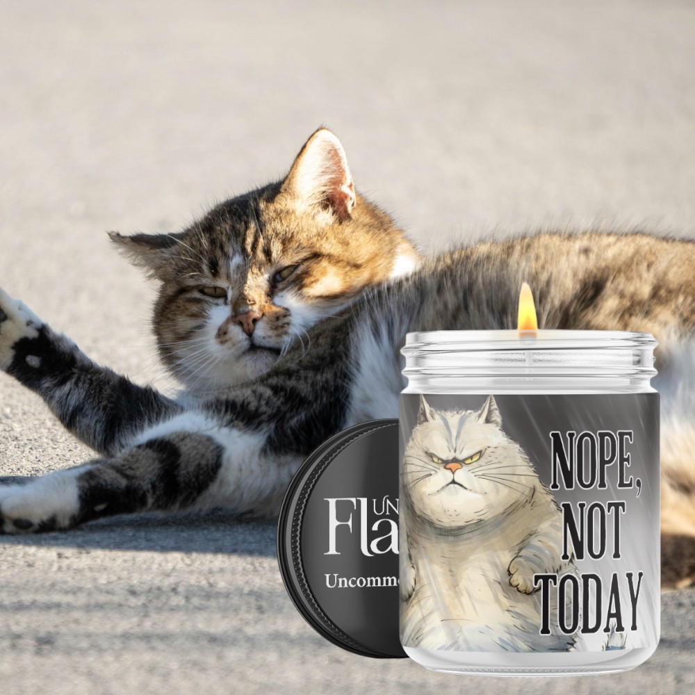 Nope, Not Today - Image 3