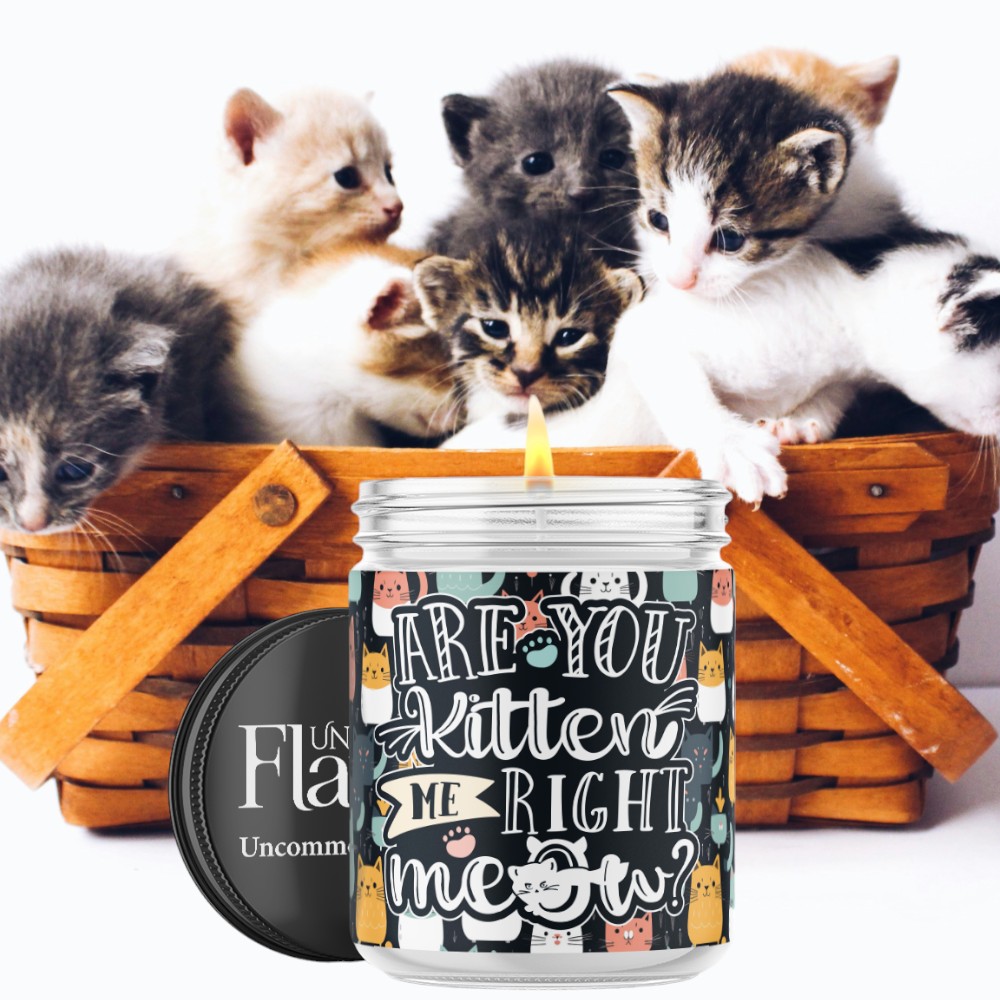 are you kitten me right now candle