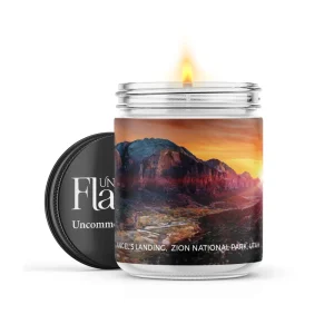 Zion National Park design