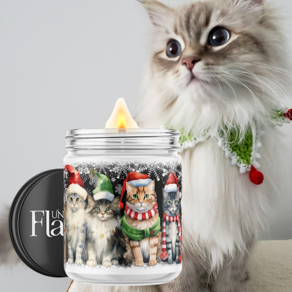 Christmas kittens