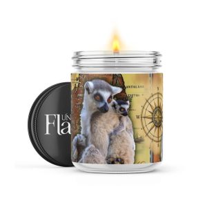 Ring-Tailed Lemur