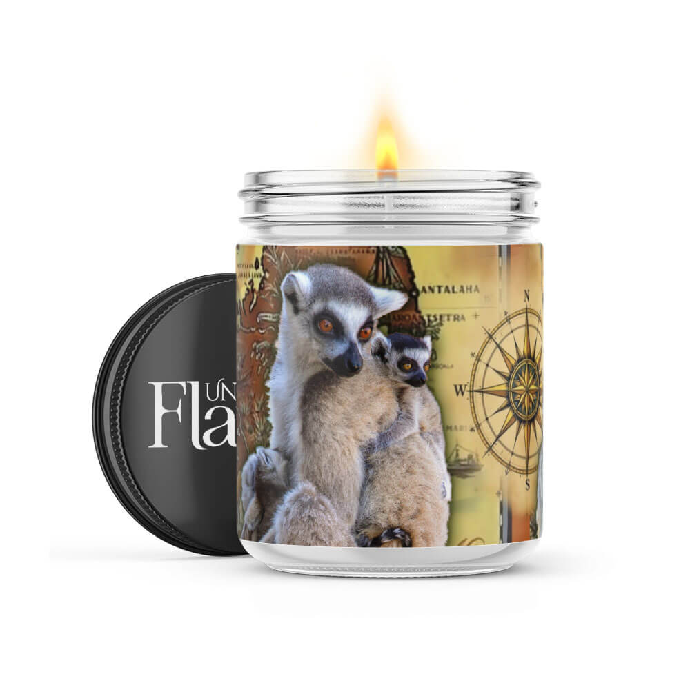 Ring-Tailed Lemur